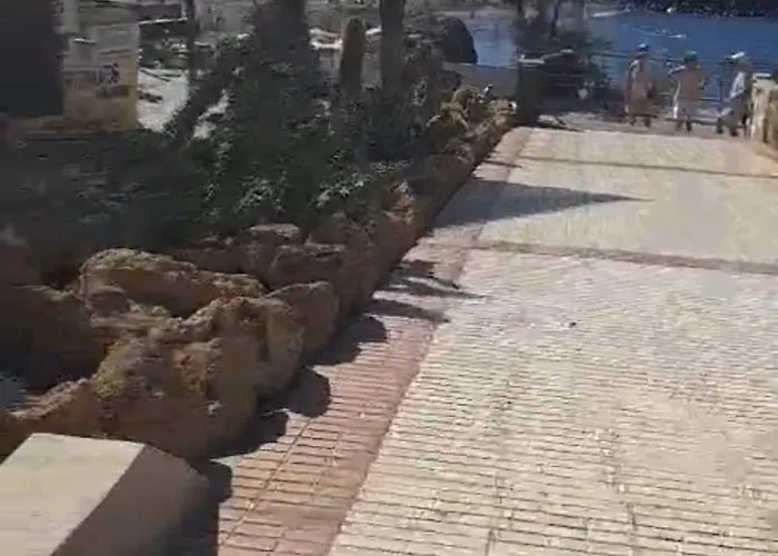 Sunny View Apartamento