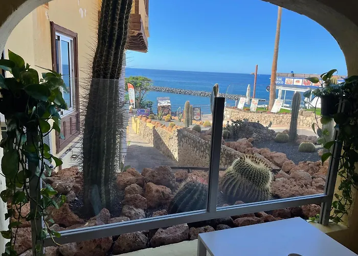 Sunny View * 美洲海滩